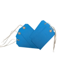 Strung Tags  120 x 60mm Size 5 Blue   Box of 250