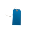 Strung Tags  120 x 60mm Size 5 Blue   Box of 250