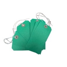 Strung Tags  120 x 60mm Size 5 Green   Box of 250