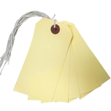Cream Strung Tags Size 5 120mm x 60mm Box of 1000